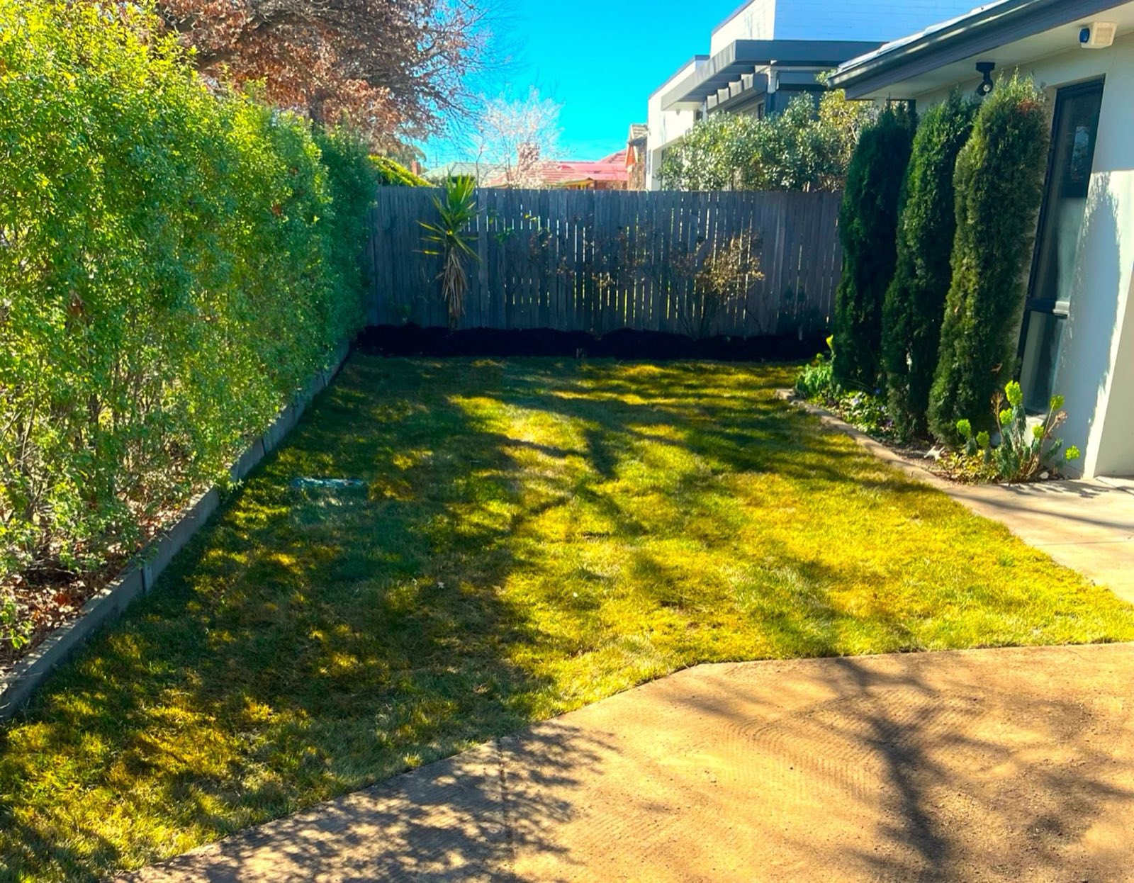 Tidy Canberra backyard with a trimmed hedge, mown lawn and clean garden edges
