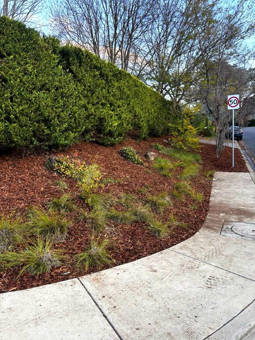 After: bed stripped, reshaped and mulched with sharp edges
