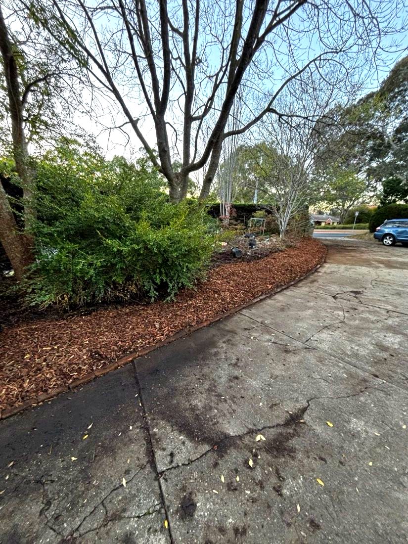 After: full width of the driveway back, clean mulch line running the length of it