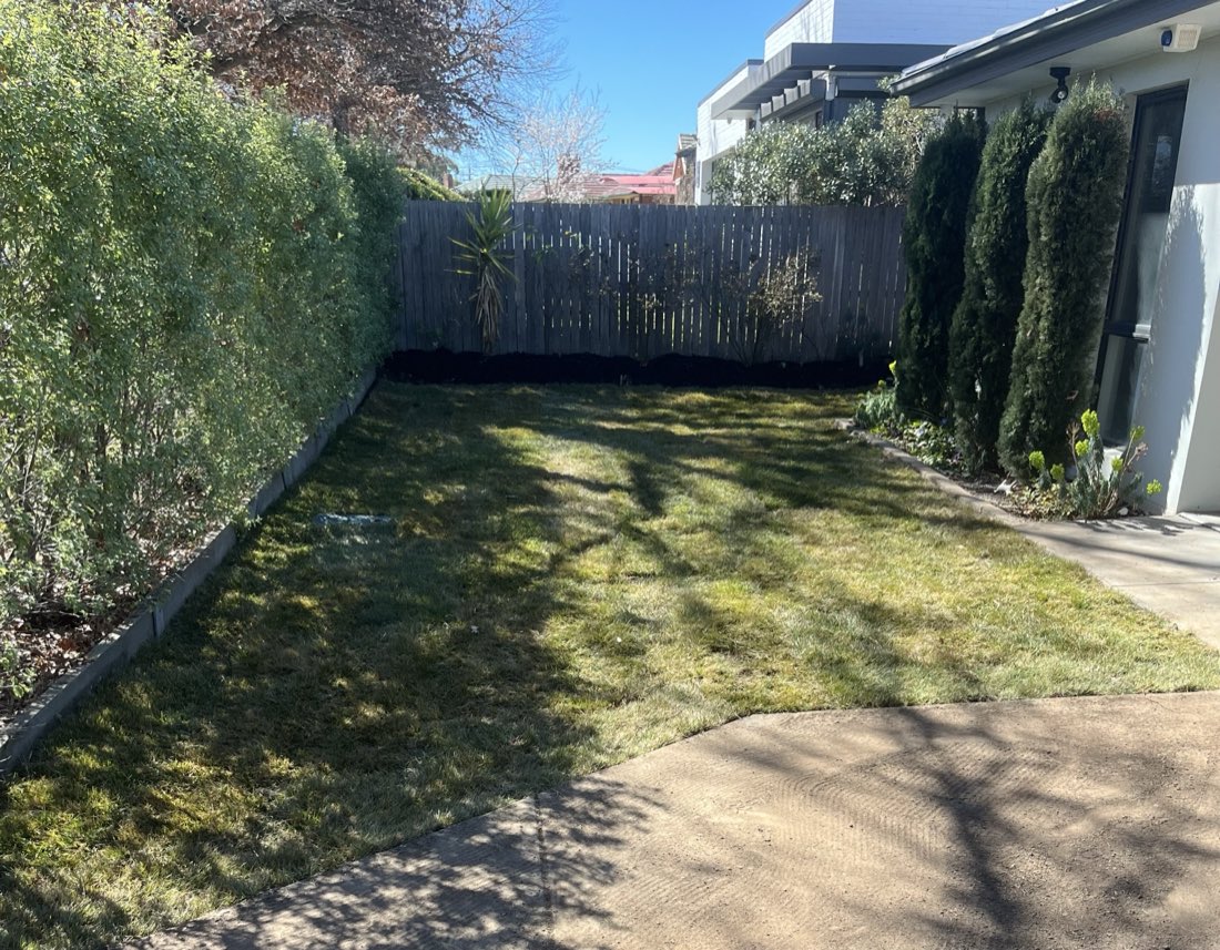 After: new turf laid wall to wall across the back yard